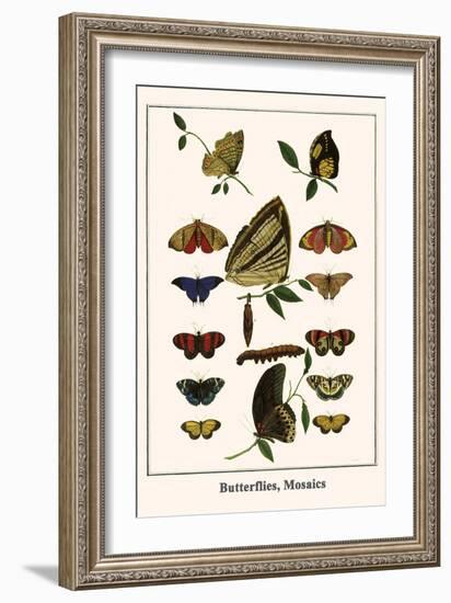 Butterflies, Mosaics-Albertus Seba-Framed Art Print