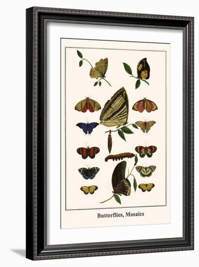 Butterflies, Mosaics-Albertus Seba-Framed Art Print