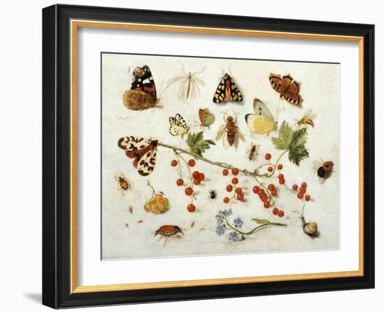 Butterflies, Moths and Other Insects with a Snail and a Sprig of Redcurrants, 1680-Jan Van Kessel-Framed Giclee Print