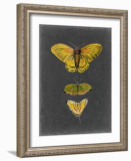 Butterflies on Slate I-Naomi McCavitt-Framed Art Print