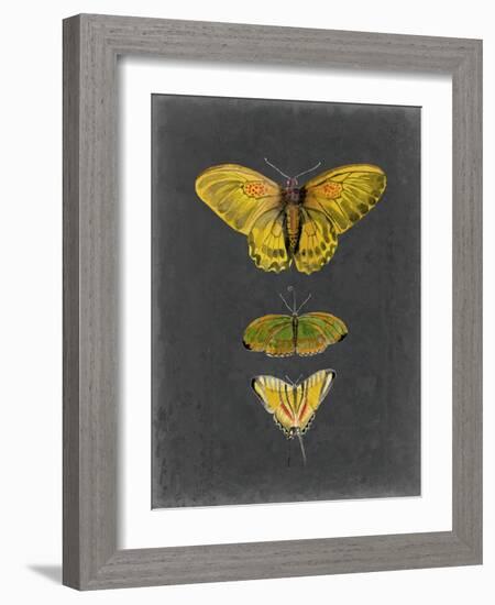 Butterflies on Slate I-Naomi McCavitt-Framed Art Print