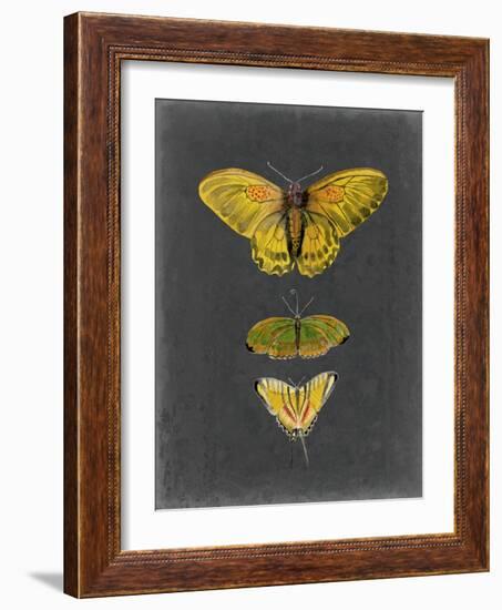 Butterflies on Slate I-Naomi McCavitt-Framed Art Print