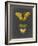 Butterflies on Slate I-Naomi McCavitt-Framed Art Print