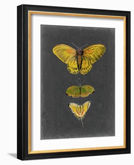 Butterflies on Slate I-Naomi McCavitt-Framed Art Print