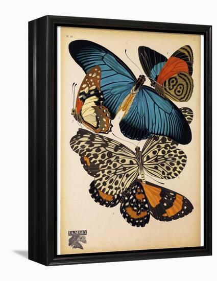 Butterflies Plate 2-null-Framed Premier Image Canvas