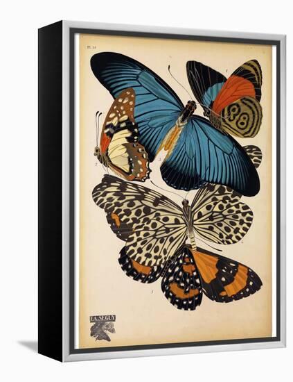 Butterflies Plate 2-null-Framed Premier Image Canvas