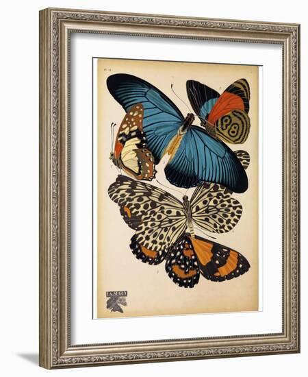 Butterflies Plate 2-null-Framed Giclee Print