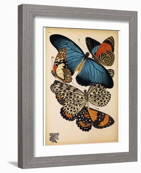 Butterflies Plate 2-null-Framed Giclee Print