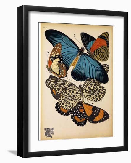 Butterflies Plate 2-null-Framed Giclee Print