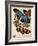 Butterflies Plate 2-null-Framed Giclee Print