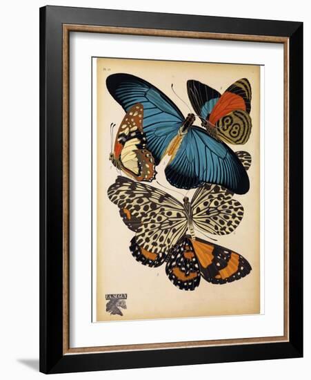 Butterflies Plate 2-null-Framed Giclee Print