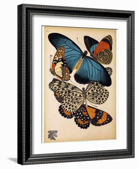 Butterflies Plate 2-null-Framed Giclee Print