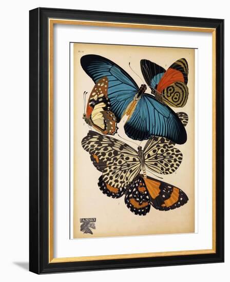 Butterflies Plate 2-null-Framed Giclee Print