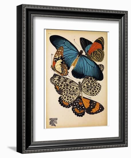 Butterflies Plate 2-null-Framed Premium Giclee Print