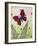 Butterflies, Red, Purple and Blue, 2016-Pat Scott-Framed Giclee Print