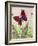 Butterflies, Red, Purple and Blue, 2016-Pat Scott-Framed Giclee Print