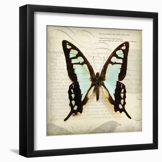 Butterflies Script I-Amy Melious-Framed Art Print