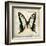 Butterflies Script I-Amy Melious-Framed Art Print