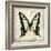 Butterflies Script I-Amy Melious-Framed Art Print