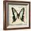 Butterflies Script I-Amy Melious-Framed Art Print