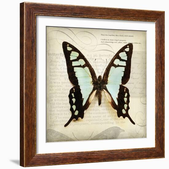 Butterflies Script I-Amy Melious-Framed Art Print