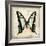 Butterflies Script I-Amy Melious-Framed Art Print