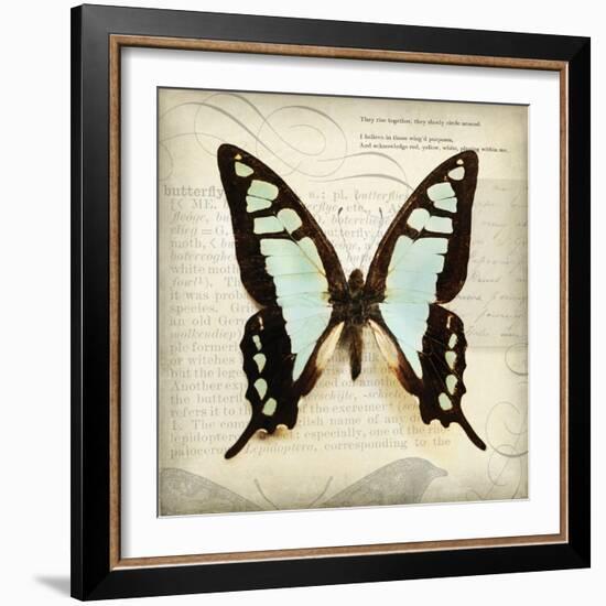 Butterflies Script I-Amy Melious-Framed Art Print