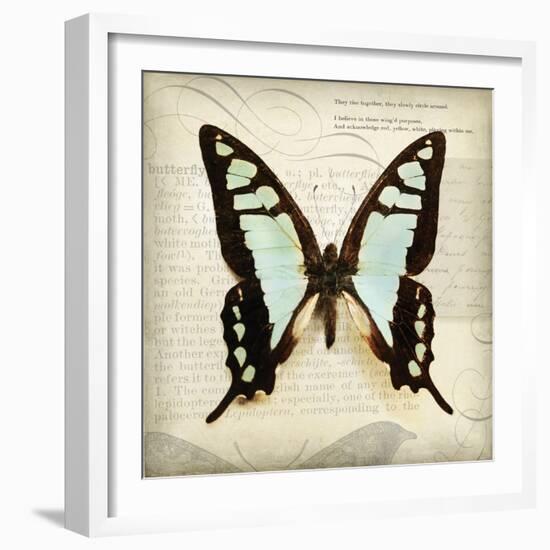 Butterflies Script I-Amy Melious-Framed Art Print