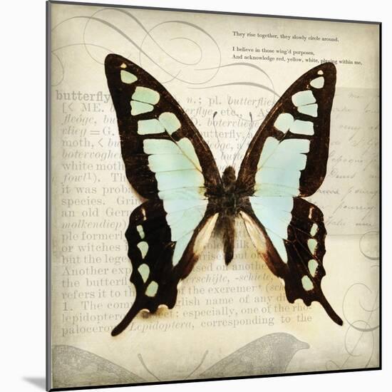 Butterflies Script I-Amy Melious-Mounted Art Print