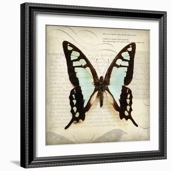 Butterflies Script I-Amy Melious-Framed Art Print
