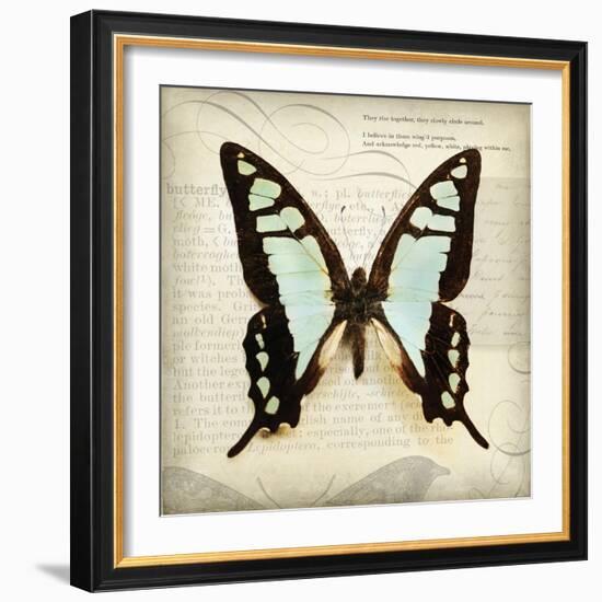 Butterflies Script I-Amy Melious-Framed Art Print