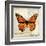 Butterflies Script II-Amy Melious-Framed Art Print