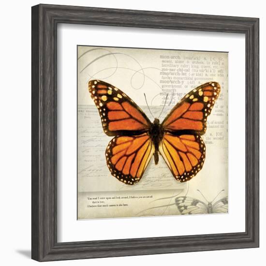 Butterflies Script II-Amy Melious-Framed Art Print