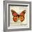 Butterflies Script II-Amy Melious-Framed Art Print