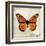 Butterflies Script II-Amy Melious-Framed Art Print