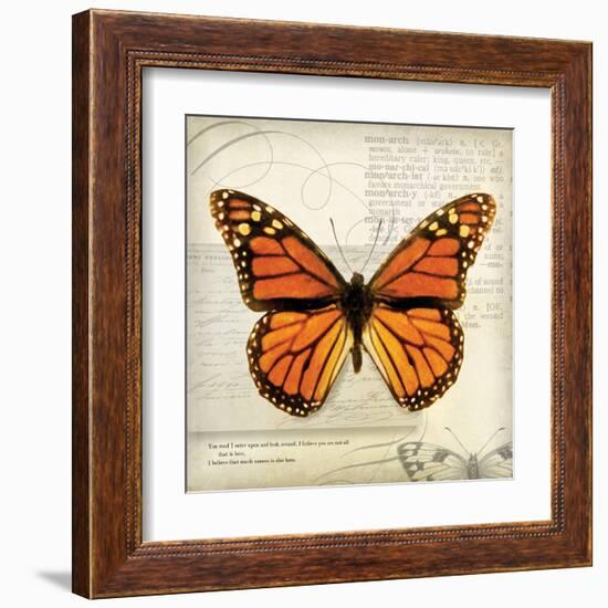 Butterflies Script II-Amy Melious-Framed Art Print