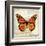 Butterflies Script II-Amy Melious-Framed Art Print