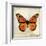 Butterflies Script II-Amy Melious-Framed Art Print