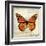 Butterflies Script II-Amy Melious-Framed Art Print