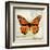 Butterflies Script II-Amy Melious-Framed Art Print