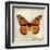 Butterflies Script II-Amy Melious-Framed Art Print