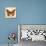 Butterflies Script II-Amy Melious-Premium Giclee Print displayed on a wall