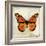 Butterflies Script II-Amy Melious-Framed Premium Giclee Print