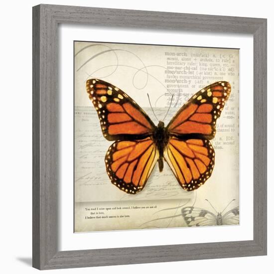 Butterflies Script II-Amy Melious-Framed Premium Giclee Print