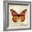 Butterflies Script II-Amy Melious-Framed Art Print