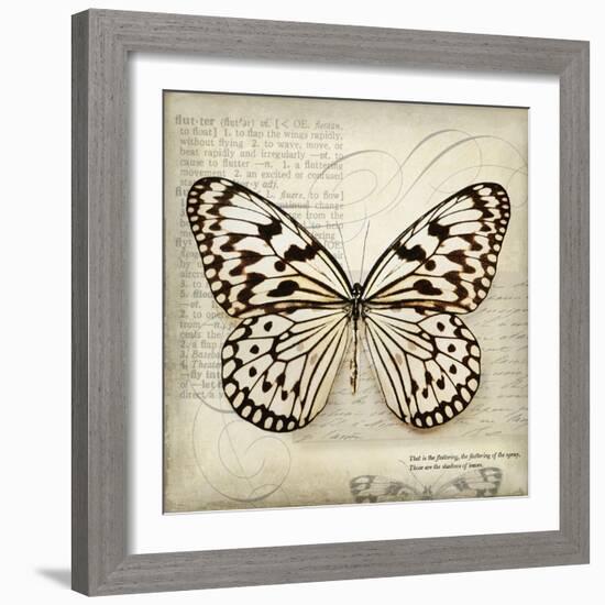 Butterflies Script III-Amy Melious-Framed Art Print