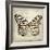 Butterflies Script III-Amy Melious-Framed Art Print