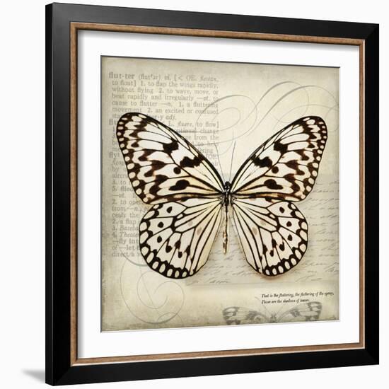 Butterflies Script III-Amy Melious-Framed Art Print