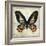 Butterflies Script IV-Amy Melious-Framed Art Print