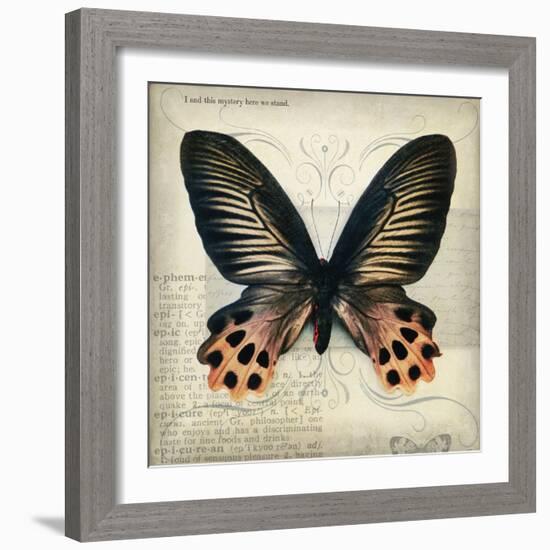 Butterflies Script IV-Amy Melious-Framed Art Print